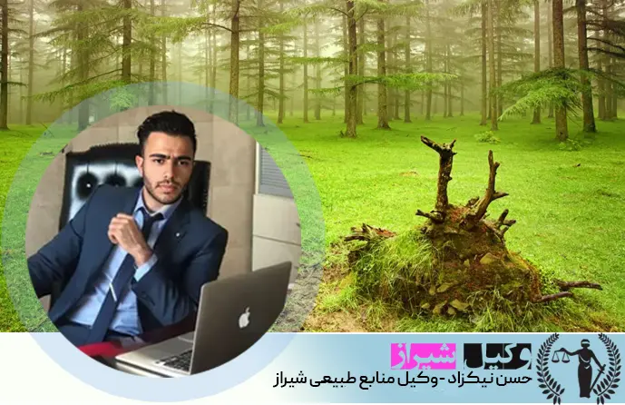 وکیل منابع طبیعی شیراز